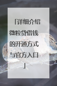 详细介绍微粒贷借钱的开通方式与官方入口